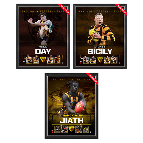 Hawthorn Hawks Package Official Licensed AFL Prints Framed Day, Sicily, Jiath - 5959