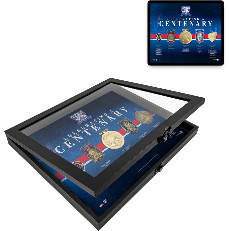 Western Bulldogs Official AFL Window Frame Decorations of Distinctions - 7242