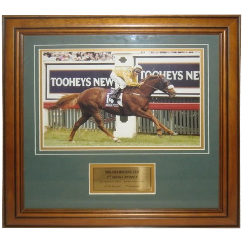 2002 Melbourne Cup Winner Media Puzzle Photo Framed - 2813