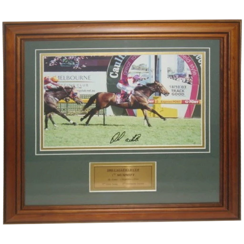 2003 Caulfield Cup Winner Mummify Signed Photo Framed - 2814