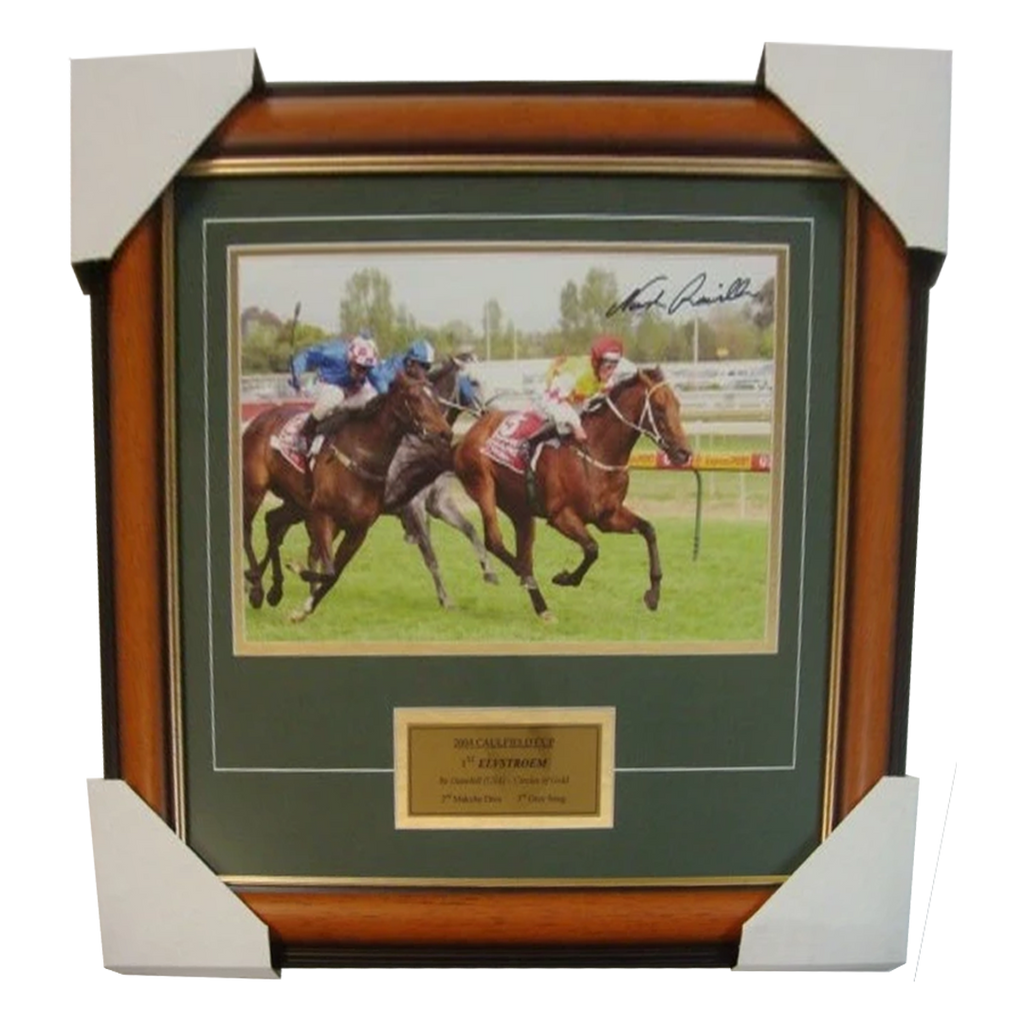 2004 Caulfield Cup Winner Elvstroem Signed Photo Framed - 2816