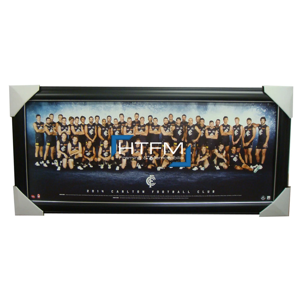 Carlton 2014 Team Print Framed Afl Official Licensed Judd Murphy Gibbs Kruezer - 1741