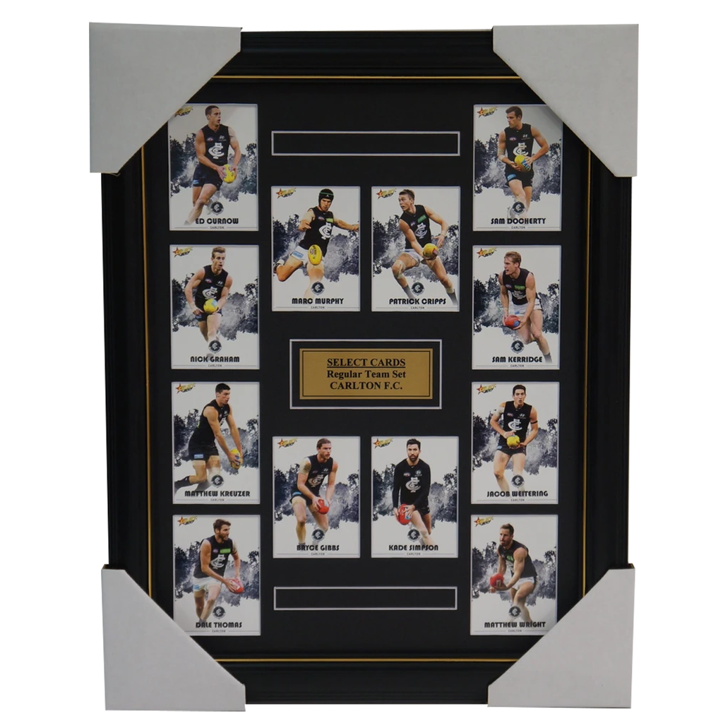 Carlton Blues 2017 Select Card Team Set Framed Marc Murphy Patrick Cripps Gibbs - 3050