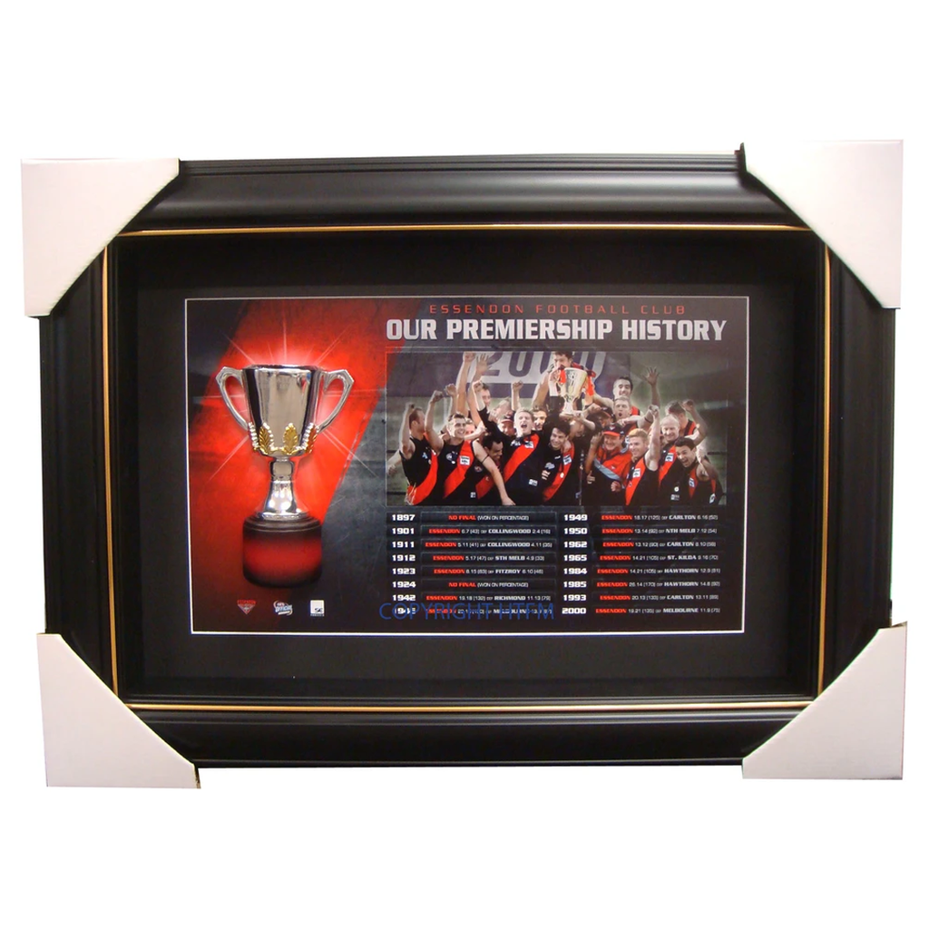 Essendon Bombers Limited Edition Premiership Box Framed with Replica Half Cup - 1501