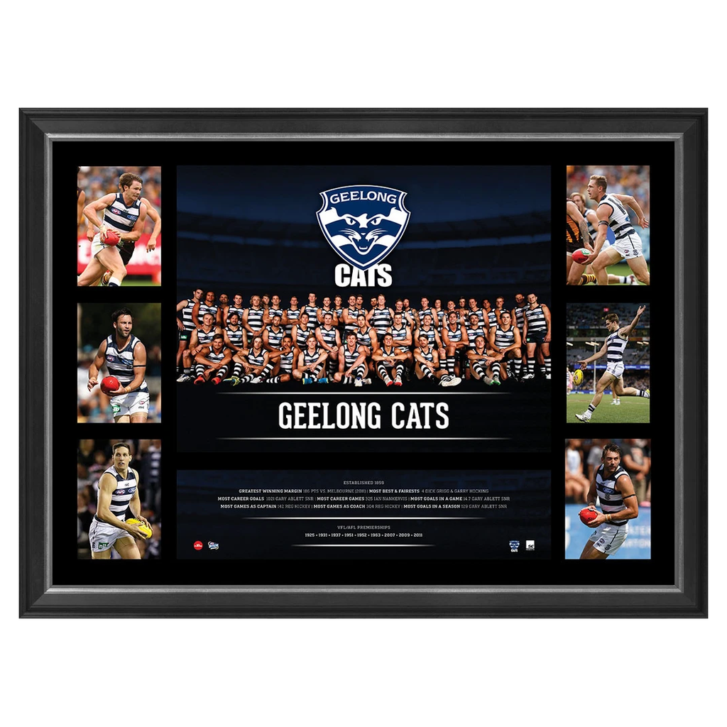 Geelong 2016 Official Afl Team Premiergraph Super Frame Patrick Dangerfield - 2864