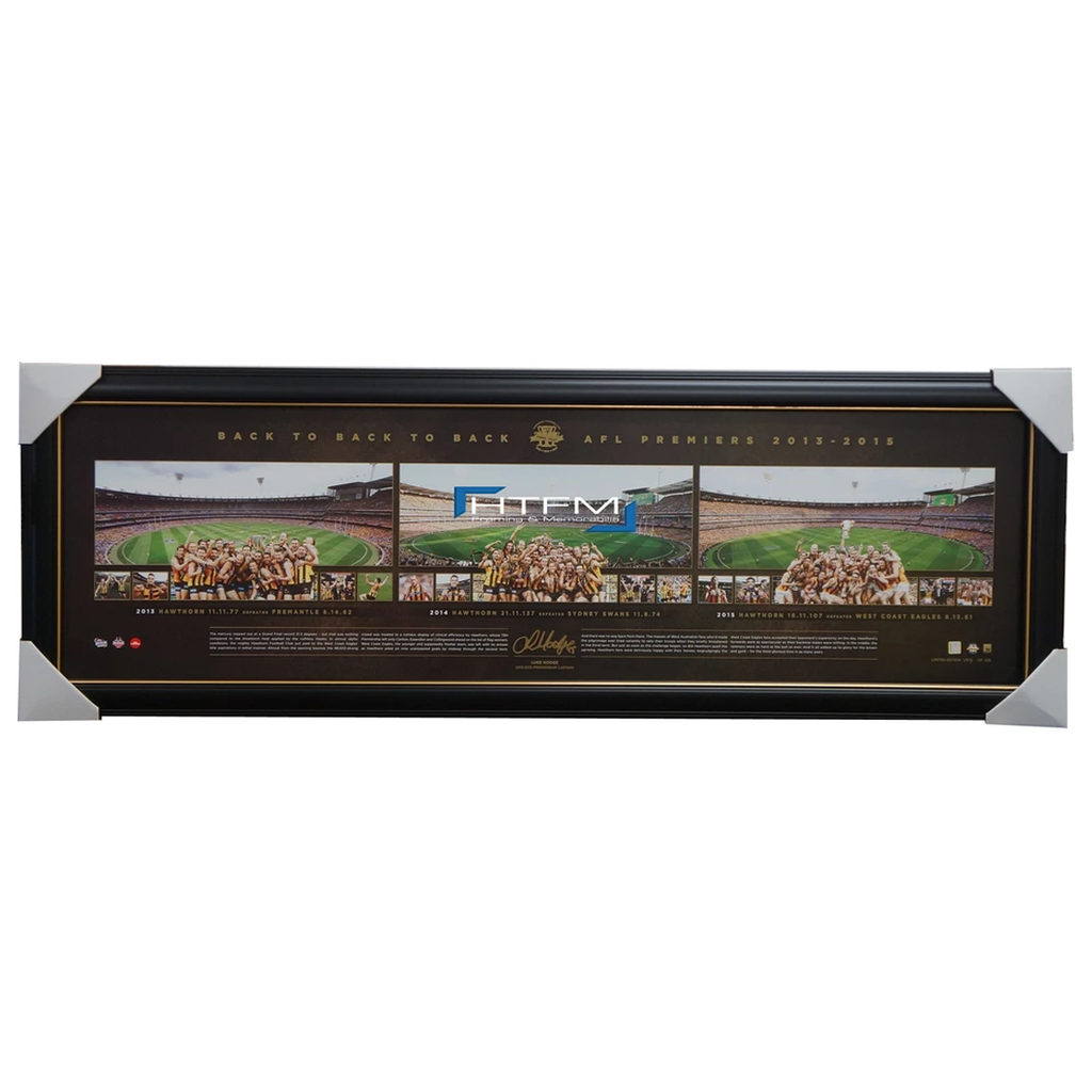 Hawthorn 2015 Premiers Signed Luke Hodge Deluxe Panoramic Print Framed Official - 2577