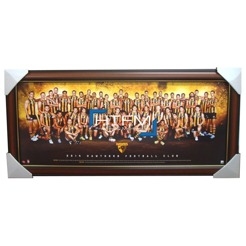 Hawthorn 2014 Team Print Framed Afl Official Licensed Hodge Mitchell Rioli - 1748