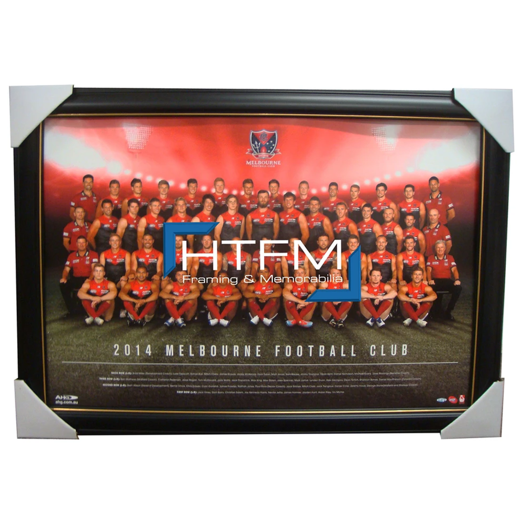 Melbourne Demons 2014 Team Print Framed Afl Official Licensed Nathan Jones Watts - 1749