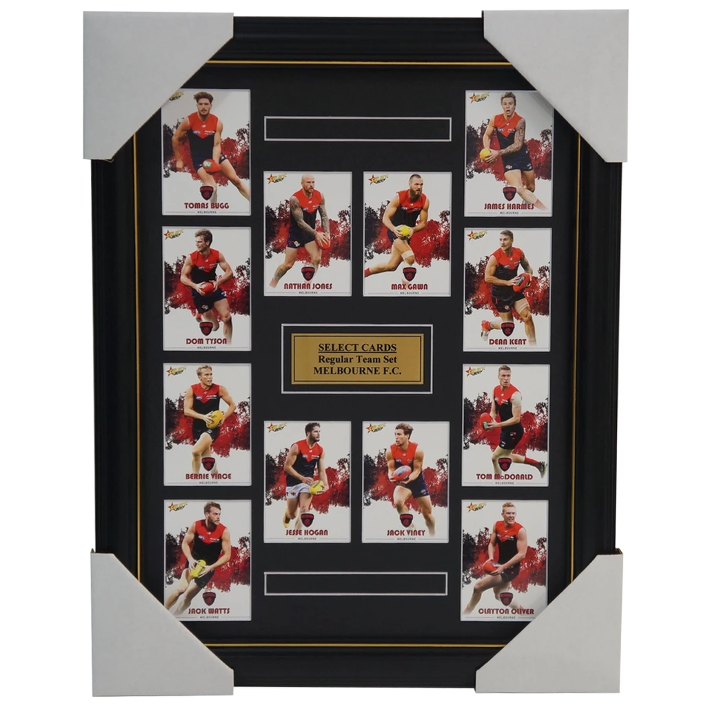 Melbourne Demons 2017 Select Card Team Set Framed Max Gawn Viney Hogan Vince - 3057