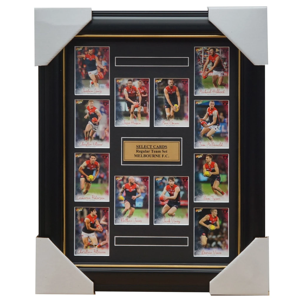 Melbourne Demons 2018 Select Card Team Set Framed Max Gawn Viney Hogan Vince - 3363