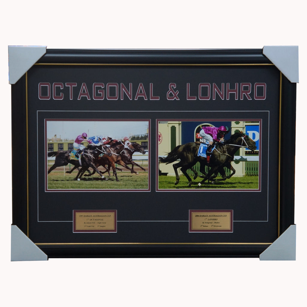Octagonal & Lonhro Photo Collage Framed Australian Cup Darren Beadman - 3264