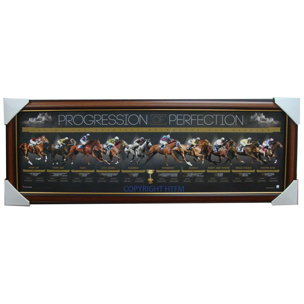 Progression of Perfection L/e Print Framed - Includes 10 Champion Horses Winning the Melbourne Cup - 1611