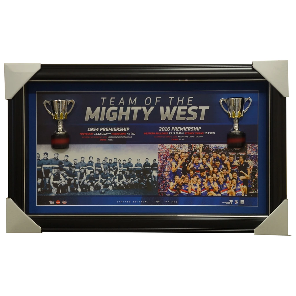 Western Bulldogs 2016 Afl Premiers Half Cup Box Framed + 1954 Premiers Half Cup - 2974