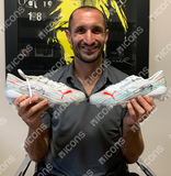 Giorgio Chiellini Signed Italian 2020 Euro Champions Puma Boot Box Framed - 5173