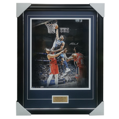 Minnesota Timberwolves