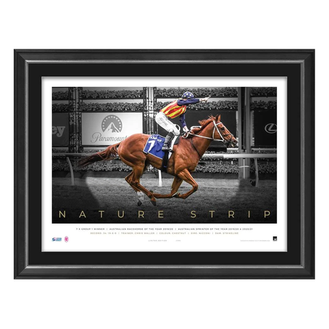 Nature Strip Official Horse Racing ICON Series Print Framed - 5559