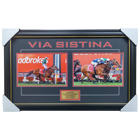 Via Sistina 2 x W.S. Cox Plate Champion Horse Racing Frame - 7358