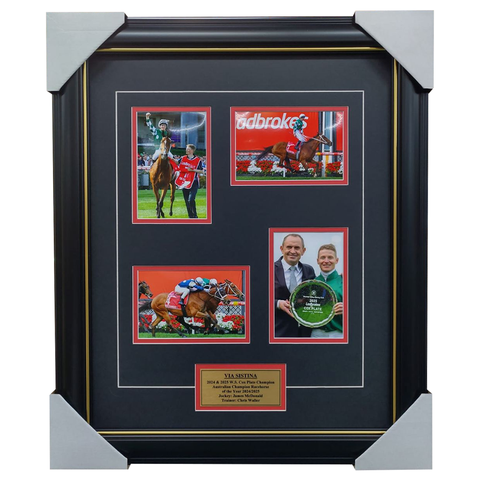 Via Sistina 2 x W.S. Cox Plate Champion Horse Racing Collage Frame - 7359