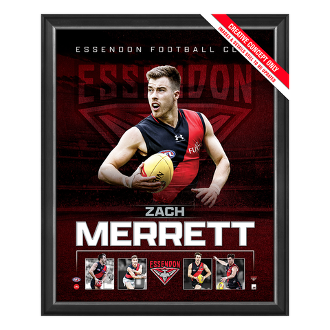 Zach Merrett Essendon 2023 Official AFL Sportsprint Framed - 5492