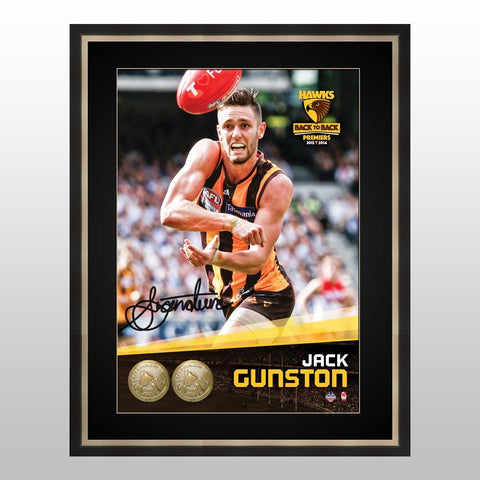 Jack Gunston Signed 2014 Premiers Hawthorn Afl Official Photo Framed Aflpa - 2578