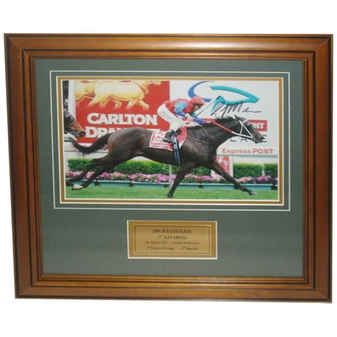 2004 W.s. Cox Plate Winner Savabeel Signed Photo Framed - 2817