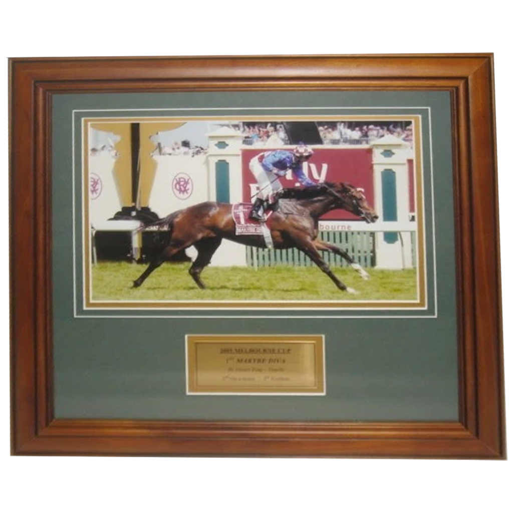 2005 Melbourne Cup Winner Makybe Diva Photo Framed - 2701