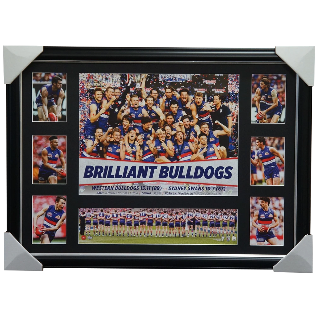 2016 AFL Premiers Western Bulldogs Premiergraph Print Framed - 2960