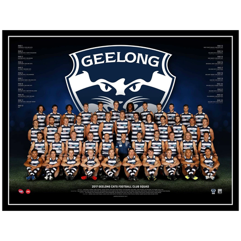 2017 Afl Official Geelong Cats Team Print Framed Patrick Dangerfield Selwood - 3080