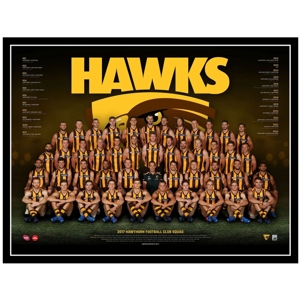 2017 Afl Official Hawthorn Hawks Team Print Framed Rioli Roughead O'meara Hodge - 3076