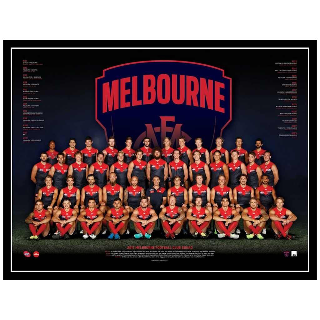 2017 Afl Official Melbourne  Team Print Framed Hogan Jones Lewis Gawn Viney - 3089