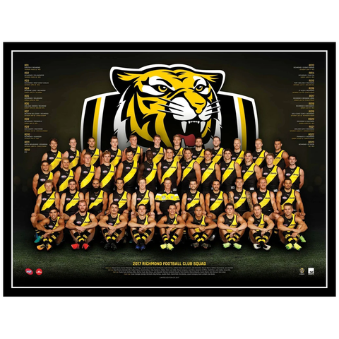 2017 Afl Official Richmond Team Print Framed - Cotchin Martin Riewoldt Prestia - 3077