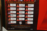 Adelaide United 2016 a-league Champions Jersey With Team Cards Signed Framed - 2872