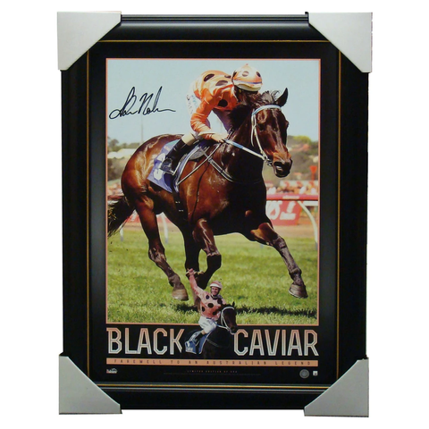 Black Caviar Australia Greatest Sprinter Signed Photo Framed - 1348