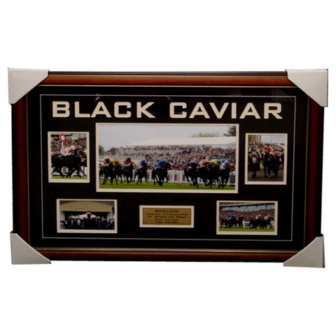 Black Caviar Royal Ascot 22 Wins in a Row Collage Framed - 4024