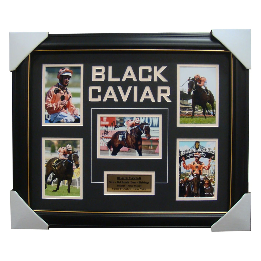 Black Caviar Signed Photo Collage Framed with Plaque - 3981