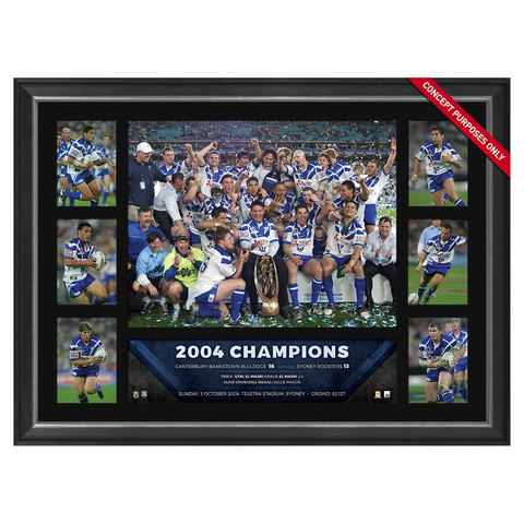 Canterbury Bulldogs 2004 Nrl Premiers Deluxe Tribute Frame Willie Mason Ryan - 3073