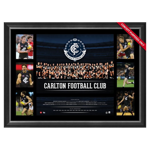 Carlton 2016 Official Afl Team Premiergraph Super Frame Marc Murphy Bryce Gibbs - 2868
