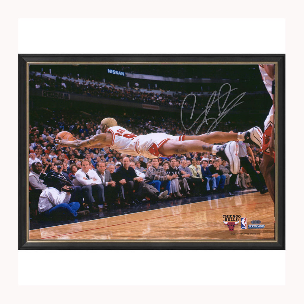 Dennis Rodman Signed Chicago Bulls Fanatics Official Signed Photo Framed NBA Champions - 5108