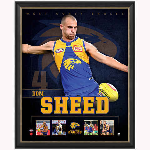 Dom Sheed West Coast Eagles F.c. Official Licensed Afl Print Framed New - 4488