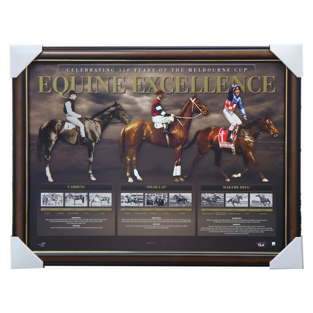 Equine Excellence Horse Racing Print Framed Carbine Phar Lap Makybe Diva - 3560