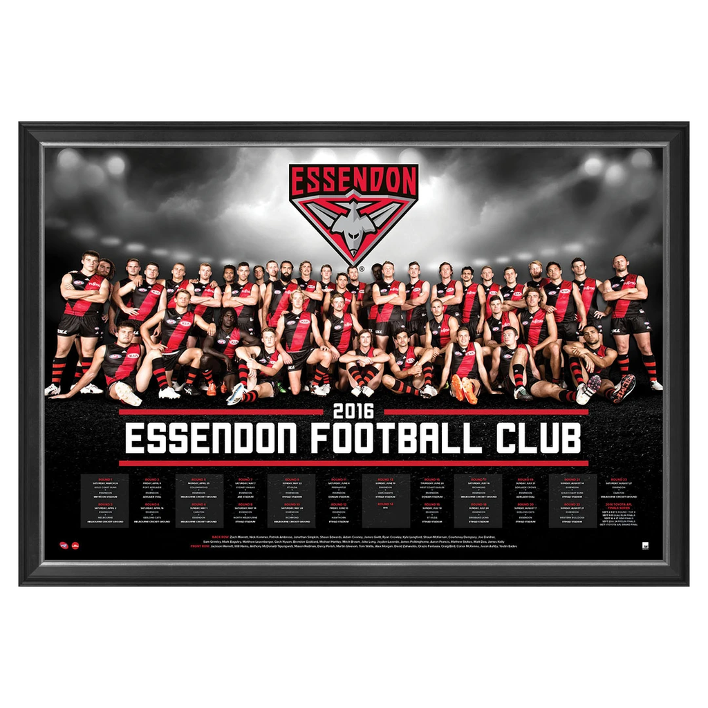Essendon Bombers 2016 Official Afl Team Print Framed Brendon Goddard Dyson Heppell - 2723