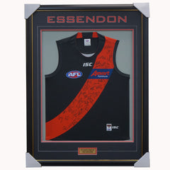 2019 AFL Official Signed Jumpers Framed