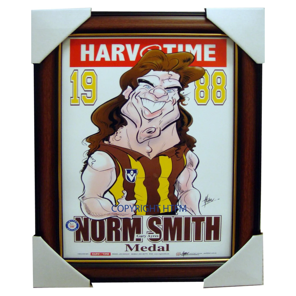 Gary Ayres 1988 Norm Smith Medallist Harv Time L/e Print Framed 1988 Premiers - 1578