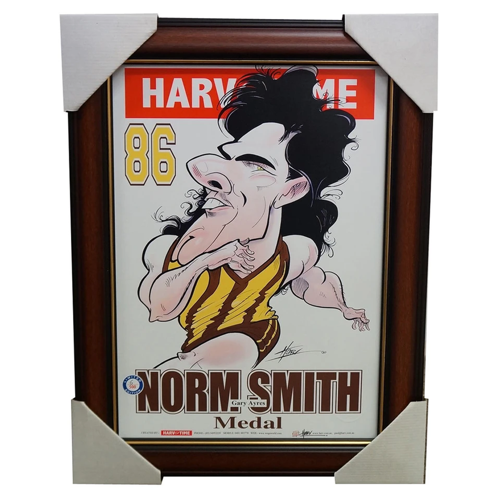 Gary Ayres Hawthorn 1986 Norm Smith Medallist Limited Edition Harv Time Frame - 1875