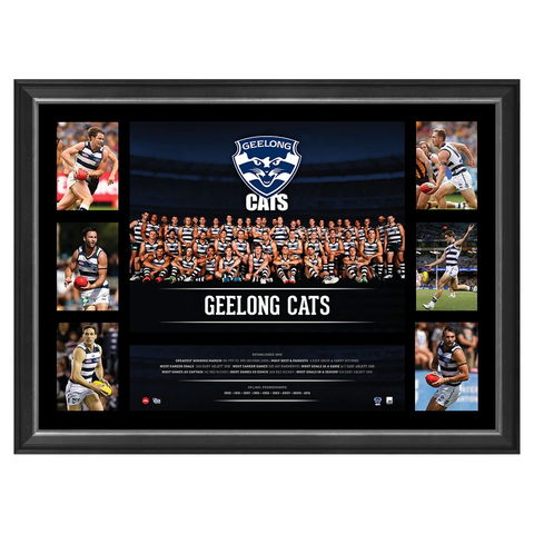 Geelong 2016 Official Afl Team Premiergraph Super Frame Patrick Dangerfield - 2864
