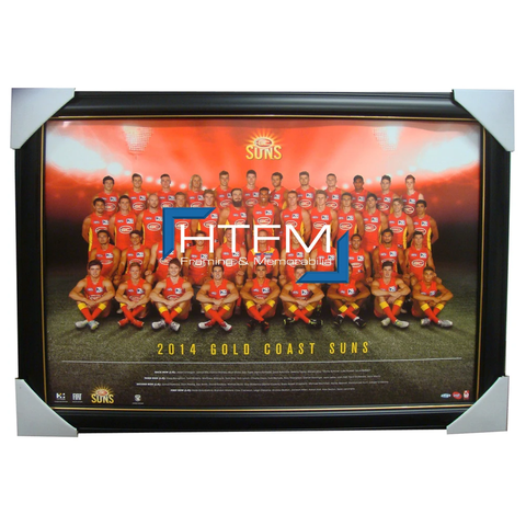 Gold Coast Suns 2014 Team Print Framed Afl Official Licensed Gary Ablett Swallow - 1747