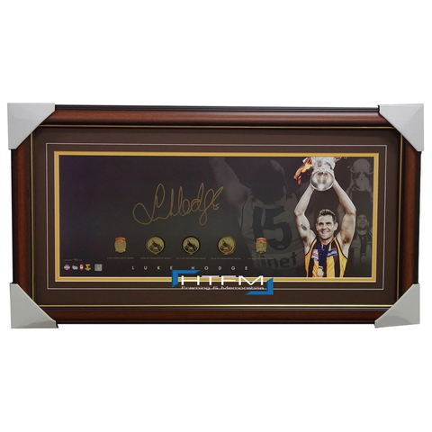 Hawthorn 2014 Premiership Afl Panograph Signed by Luke Hodge With Replica Medals - 1971