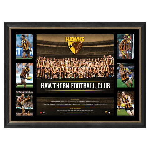 Hawthorn 2016 Official Afl Team Premiergraph Super Frame Luke Hodge Cyril Rioli - 2863
