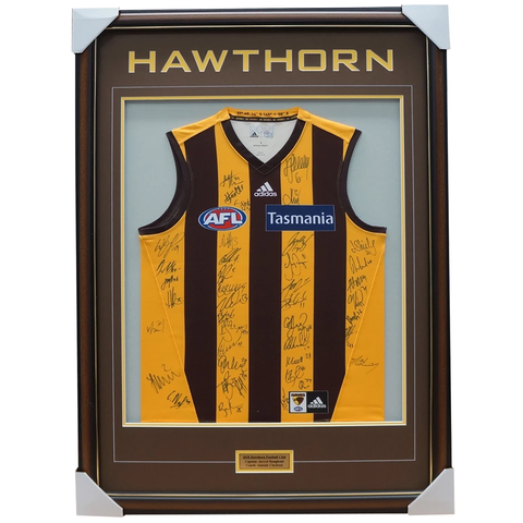 Hawthorn 2018 Signed Official Afl Team Jumper Framed Mitchell O'meara + Coa - 3410