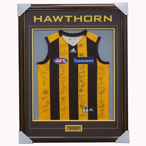 Hawthorn 2019 Signed Official Afl Team Jumper Framed Mitchell O'meara + Coa - 3739